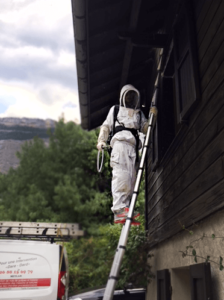 Accès nids de guêpes Destruction Nid Guêpes frelons